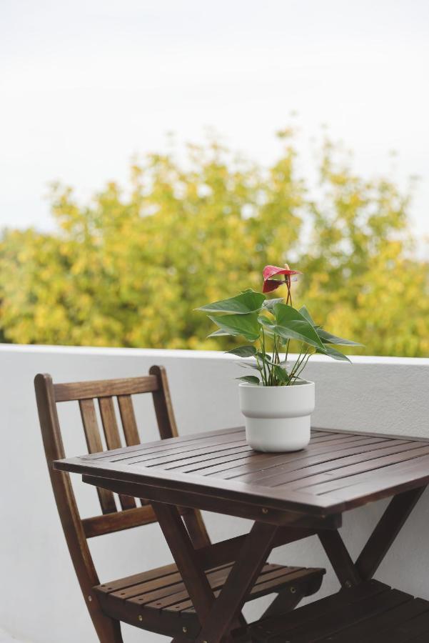 Apartmán Boavista Sunlit Duplex With Terrace Porto Exteriér fotografie